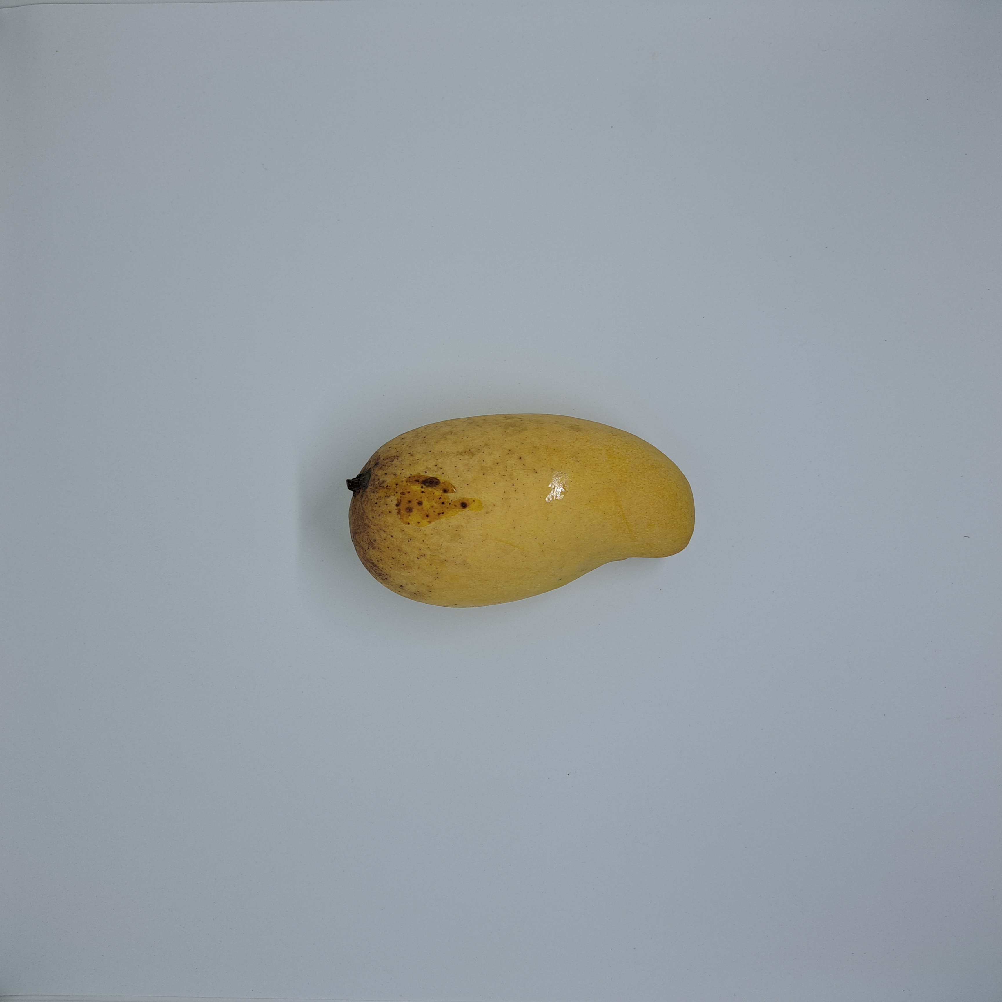 Mango Sample