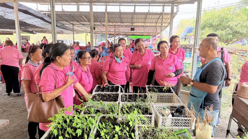 ศึกษาดูงานเศรษฐกิจพอเพียง